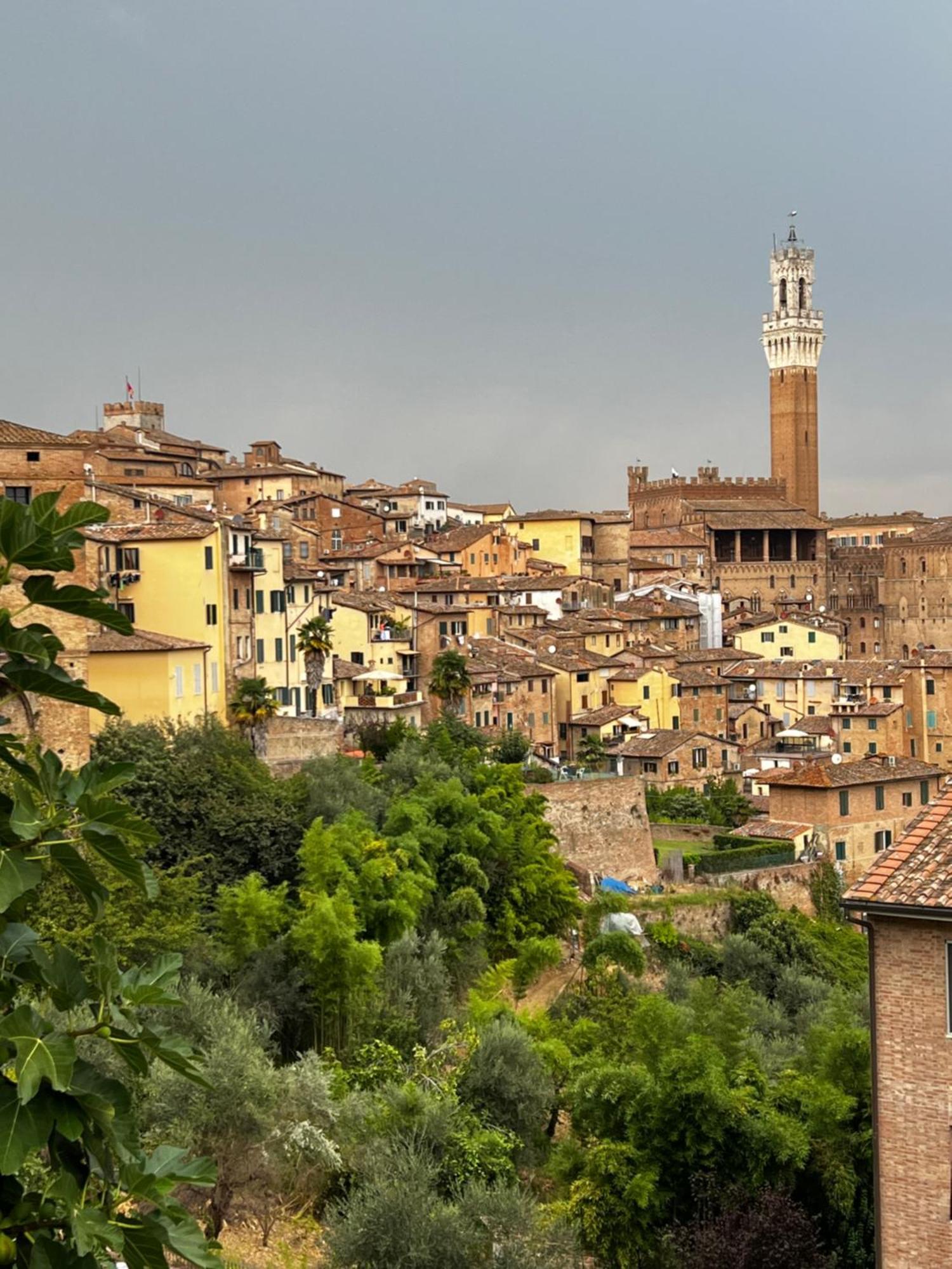 Podere La Casa Villa d'Arceno Экстерьер фото